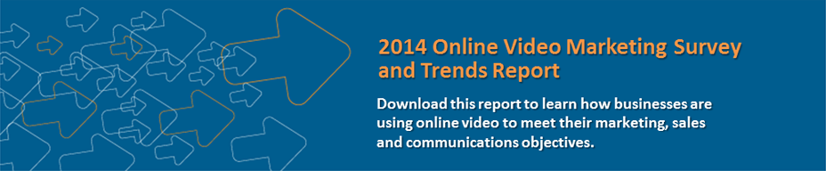 2014 Online Video Marketing Survey Results and Trends Report